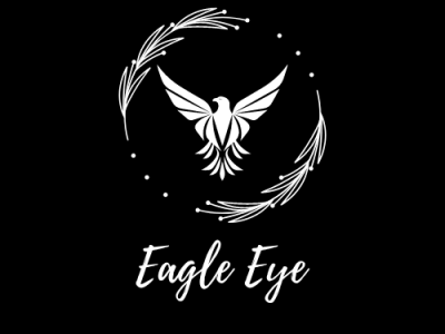 EagleEye Logo black branding canva company design easy font graphic design illustration logo logo design new simple vector vector graphic white