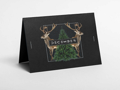 Calendar design branding calendar calender dear december design editorial illustration logo packaging typography ui