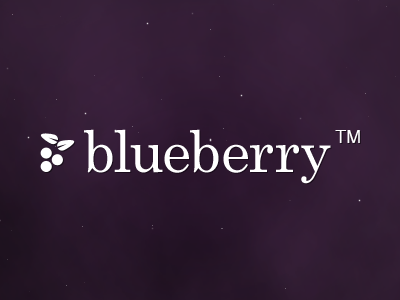 Blueberry Concept Logo blueberry concept logo