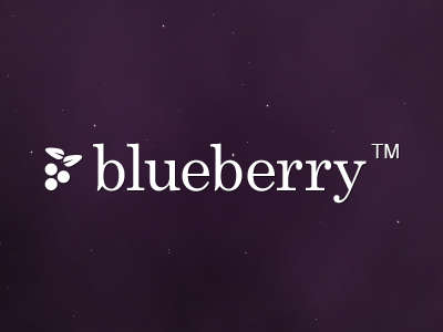 Blueberry Concept Logo
