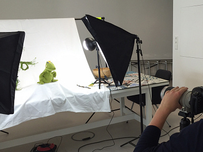 Ikea Frog Shooting frog fun ikea may shooting