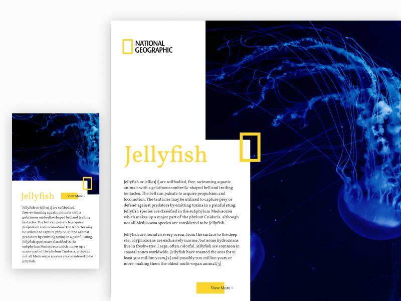 Responsive UI Practice: Nat Geo by Mackenna Lees on Dribbble