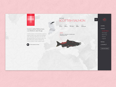 Salmon