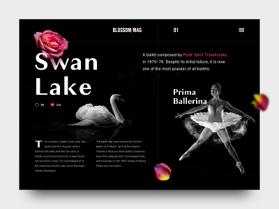 Swan Lake accent colors ballet black and white dark exploration layout swan lake typography