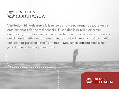Fundación Colchagua logo colchagua landing page logo