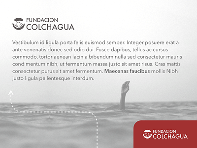 Fundación Colchagua logo