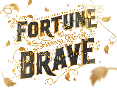 Fortune Favours The Brave