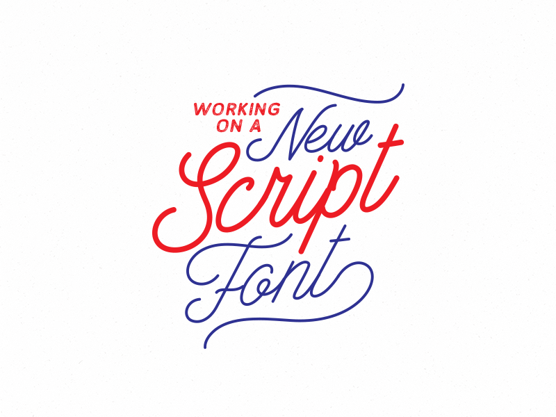 New Script Font elegant font fun monoline script typeface