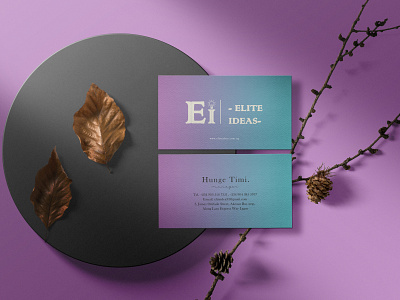 Elite ideas business card branding design graphic design illustration