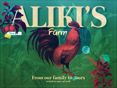 aliki's farm branding design graphic design portland poster type