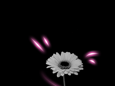 glow pink design graphic design illustration