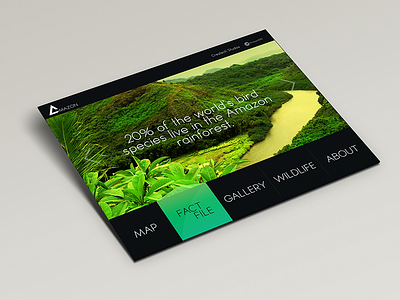 Amazon Fact File App Page amazon app branding design illustration mobile nature photoshop responsive tablet typography web