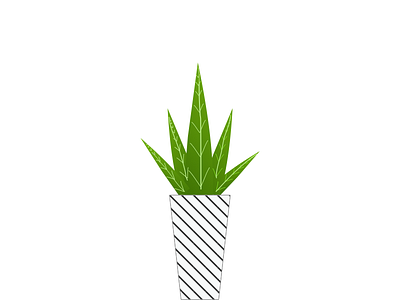 Aloe graphic design illustration plants sketch