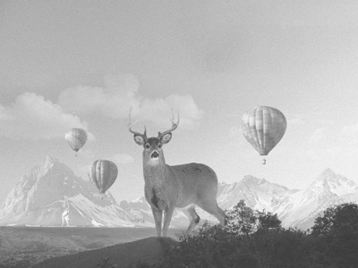 Deer Balloons animal balloon composition deer film grain large mountains old photography photoshop scenery vintage