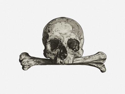 Skull bone ethermary head illustration illustrator skeleton skull vector