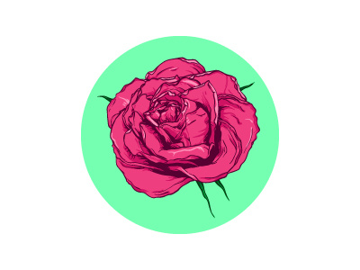 Rose bud color illustration ethermary flora flower illustration illustrator nature rose vector