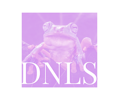 DNLS - Frog advert album assets branding design graphic design logo shirt