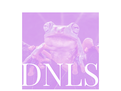 DNLS - Frog