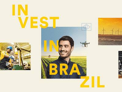 Invest in Brazil — Visual concept design visual design webdesign