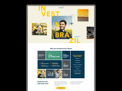 Invest in Brazil — Website design visual design webdesign