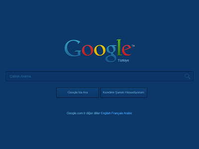 New Color Google Web Interface