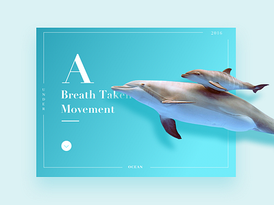 Under ocean blue dolphin header ocean typo ui ux water web website