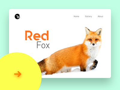 Red Fox