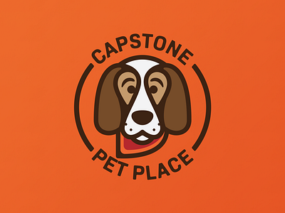 Capstone Pet Place branding design flat illustration logo minimal vector