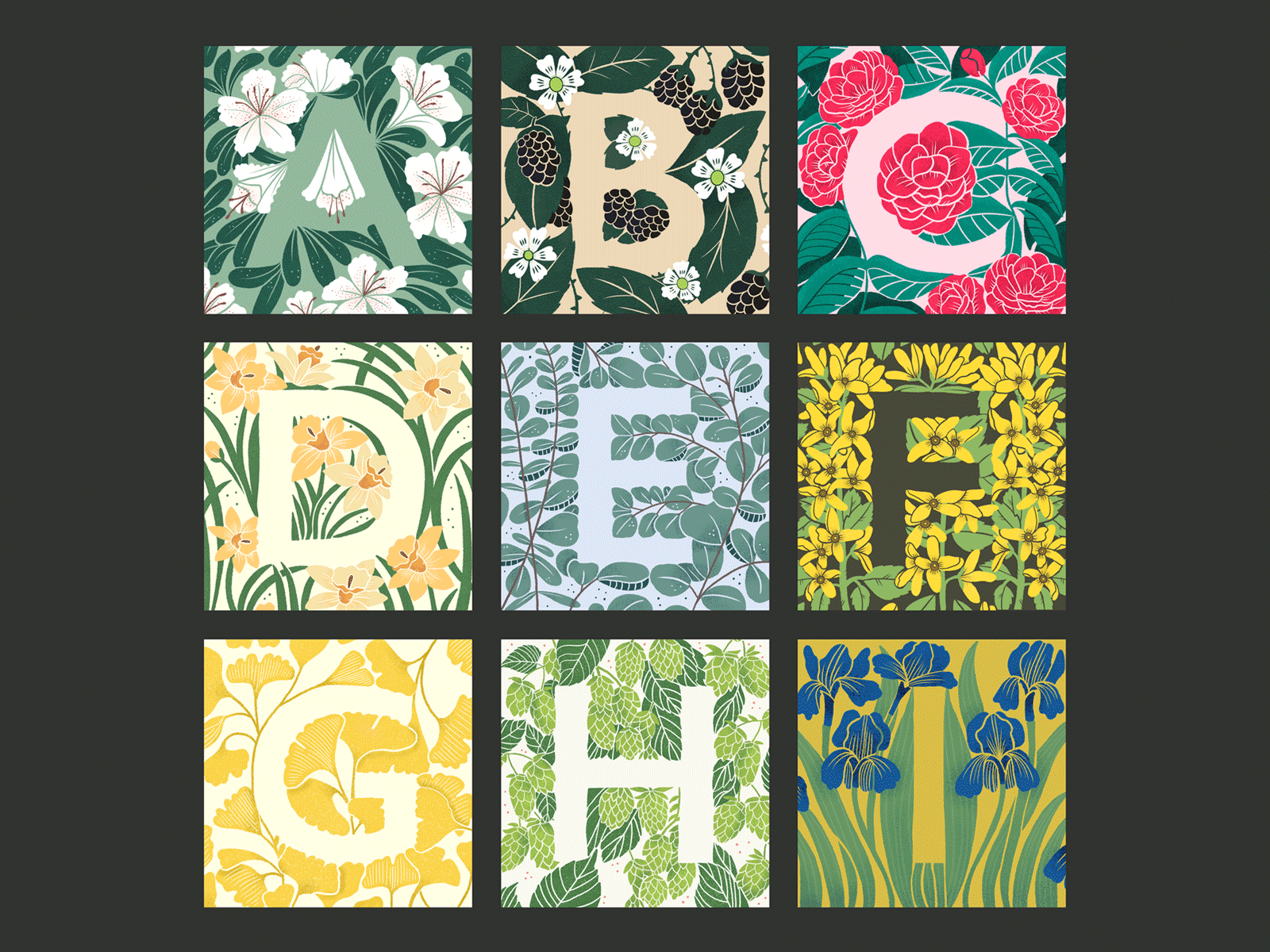 Botanical Alphabet alphabet art botanical art design floral art floral design flowers flowershop graphic design handlettering illustration illustration digital lettering nature pattern procreate app