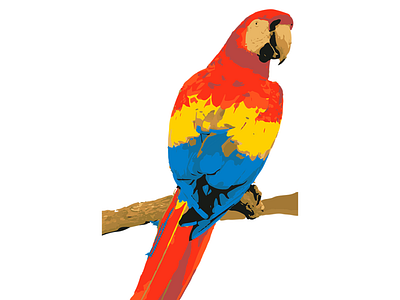 Scarlet Macaw Vector Art