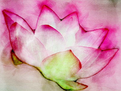 Water Lily in Digital Watercolors @aravindtarugu aquaticplants artsofnature canadiannature digital art digital artist digitalsketch flower flowerart lotus museumofnature natureart nymphaeaceae waterlilies waterlily waterlilypond waterplants