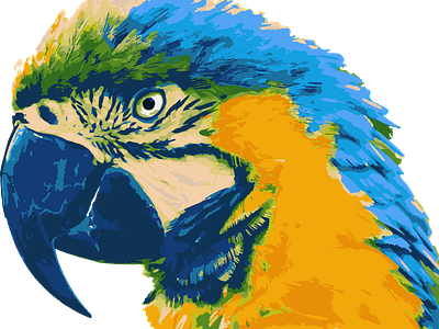 Blue-throated Macaw Vector Art_1 @aravindtarugu adobe bird blue blue throated macaw branding design digital art digital artist graphic design illustration logo macaw nature