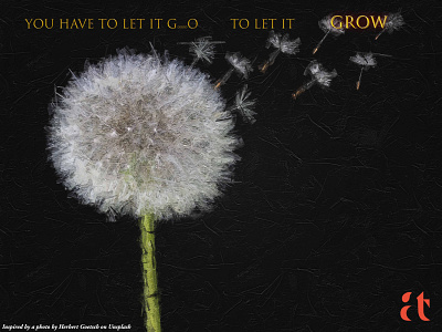 Let Go to Let Grow @aravindtarugu adobe dandelion dandelions digital art digital artist illustration motivation quote