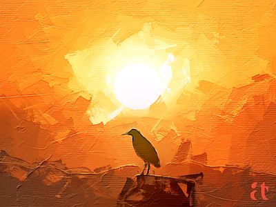 Bird Silhouette_Digital ART @aravindtarugu artoftheday digitalart digitalartist dusk evening nature orengesky outdoors silhouette sky sunlight sunrise sunset