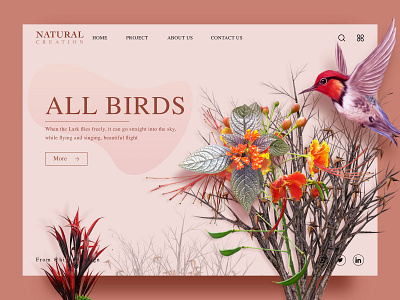 Natural creation 01 bird nature ui 应用界面设计