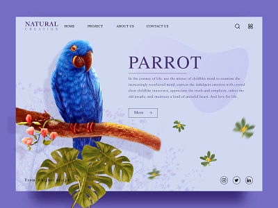 Natural creation 02 natural parrot 应用界面设计 设计