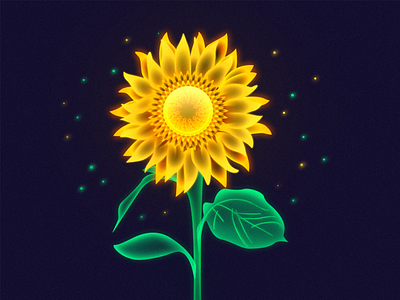 sunflower colorful illustration sunflower