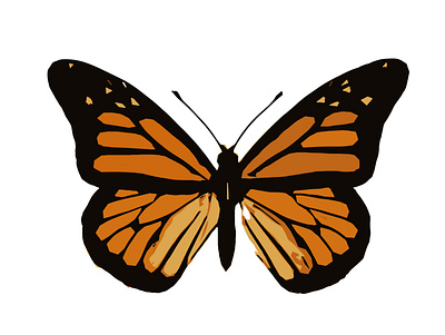 Butterfly 2 branding bugs butterfly design illustration logo nature ui ux vector
