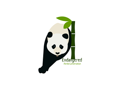 Panda Logo branding dailylogochallenge design graphic design illustration logo typography vector