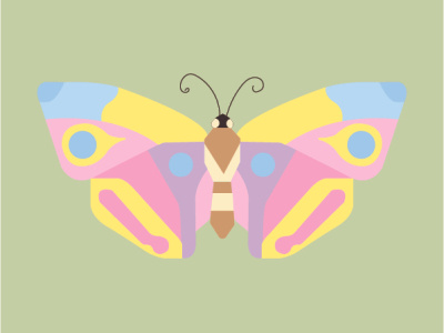 Butterfly design illustration