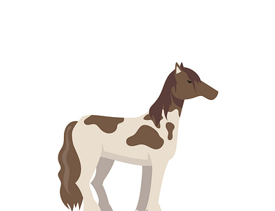 Horse active animal animation art brown and white color design graphic design horse illustration motion graphics