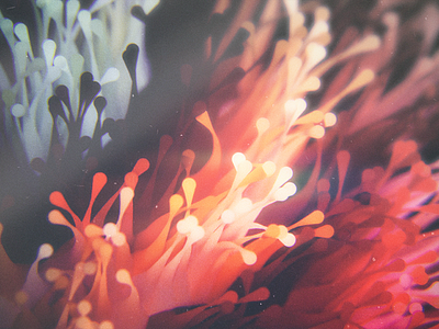 Colors of the deep sea! 3d art cinema4d debuts design digital grass hair photoshop render sea vray