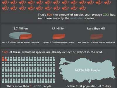 Infographic about extinction animal clean extinction infographic school project species