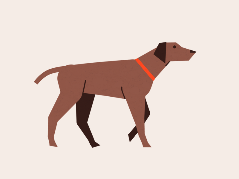 Dog With 2 Legs Walking Gif Clipart