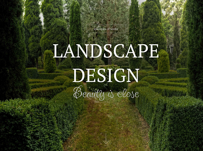 Landscape web design design ui ux