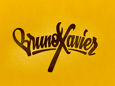 Bruno Xavier brazil custom designer flow forsuregraphic freelance identity logo type web