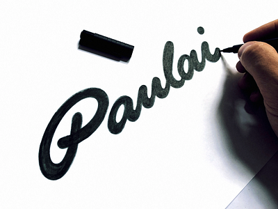 Paulai branding brushlettering calligraphy calligraphy logo custom flow handwritten identity lettering logo logodesign logodesigner logos logosketch logotype process script sketch sketches