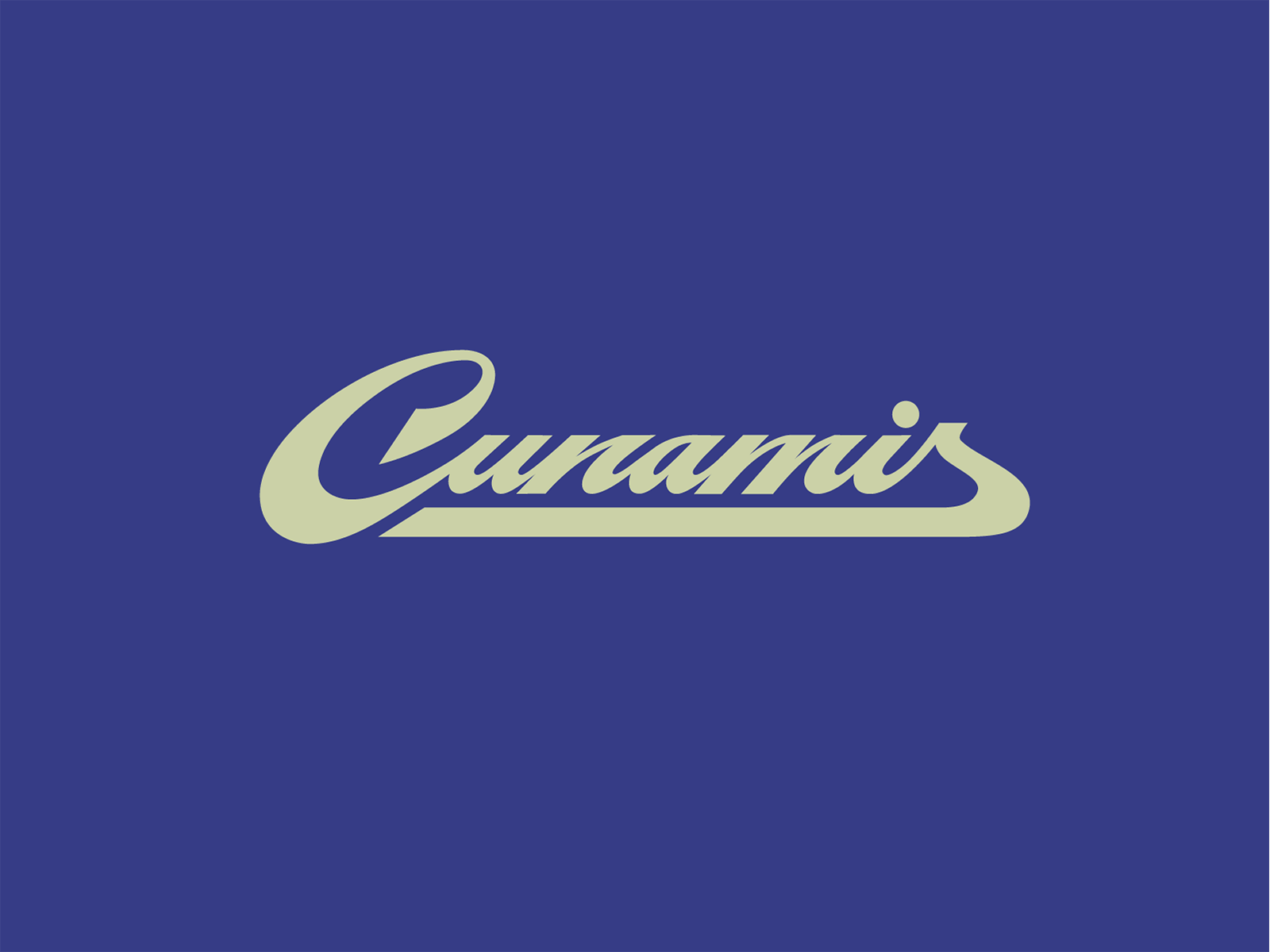 Cunamis colours bold branding colours flow funky gif graphic design lettering logo oldschool pallete retro script tsunami type unique