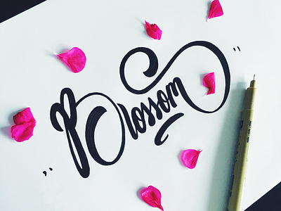 Blossoms blossoms calligraphy custom flow lettering process script sketch type