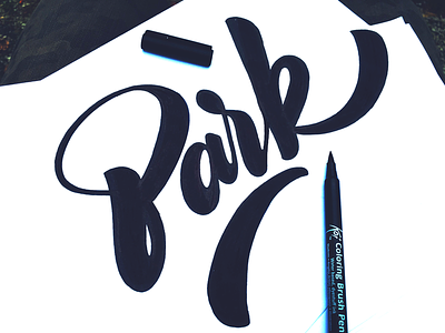 Park autumn calligraphy custom flow handwriting lettering park script type word